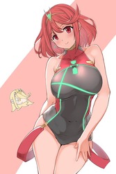 ホムラ ゼノブレイド219