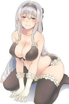 shoukaku11