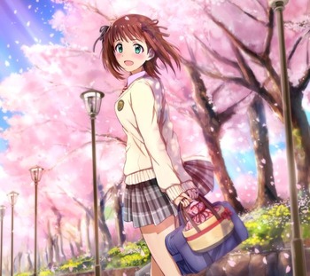 hanami sakura28