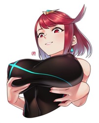 ホムラ ゼノブレイド234