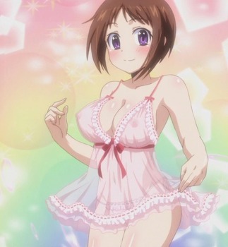 おくさまが生徒会長!+!4