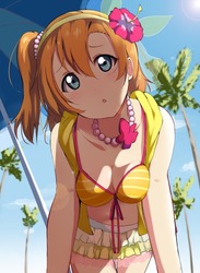 高坂穂乃果(ほのか)37