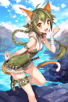 チェインクロニクル11