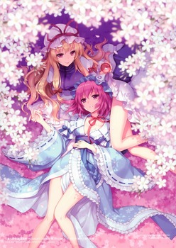 hanami sakura52
