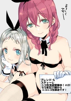 ブレンドS20
