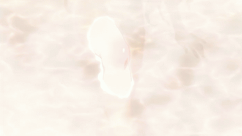 最弱無敗の神装機竜 アニメ リーシャ pic8