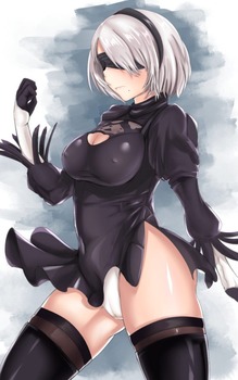 NieR:Automata 2B49