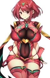 ホムラ ゼノブレイド248