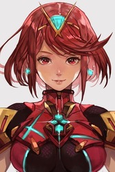 ホムラ ゼノブレイド220