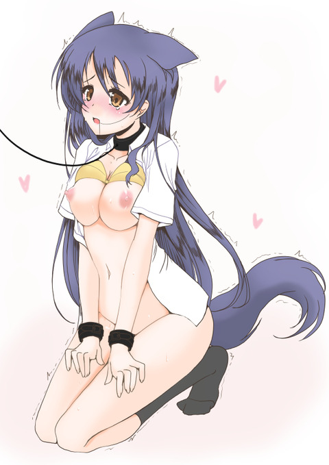 009