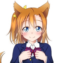 高坂穂乃果(ほのか)39