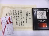S__77733896