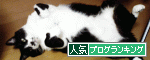 のんきなアタイと猫2匹