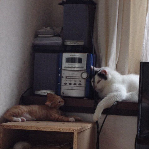 photo:01
