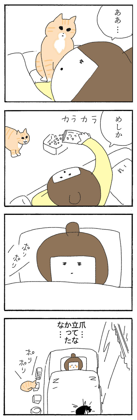 224い