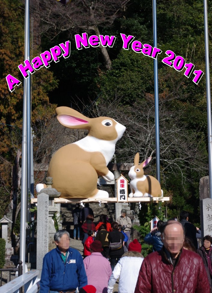 newyear2011