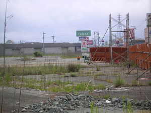 PICT0151