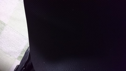 テントウムシが隠れています