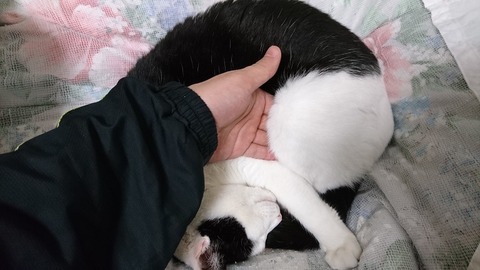 あったけんだ、ここが