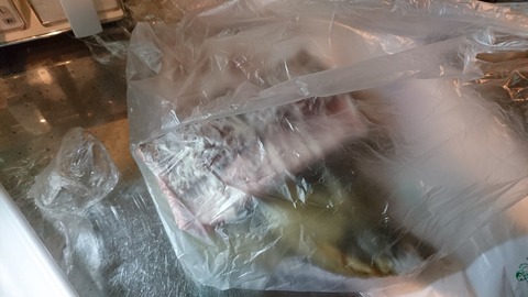 ヒラメとお肉、永遠の眠りへ