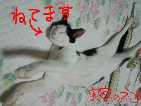 BlogPaint