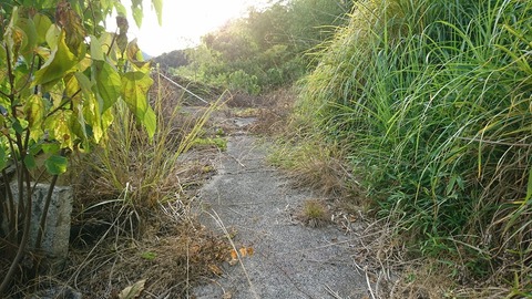 空地への登り道②