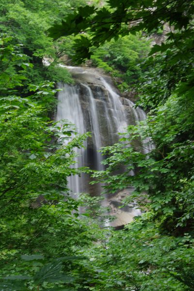 IMGP3455