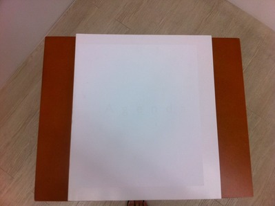 Agenda Hysteric No.12 表表紙IMG_0219
