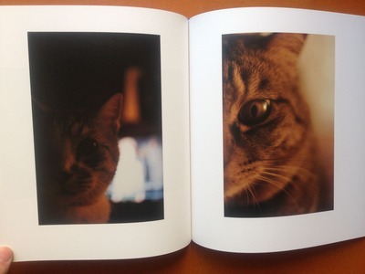 宮崎剛写真集『A Cat Catcher in The Rye』4