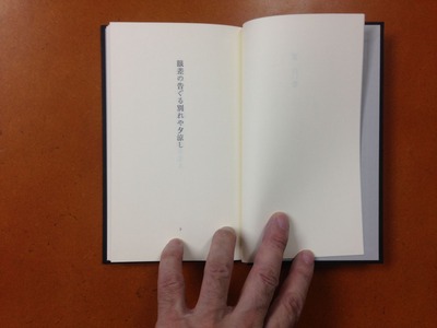 沢渡梢『句集 白い靴』1