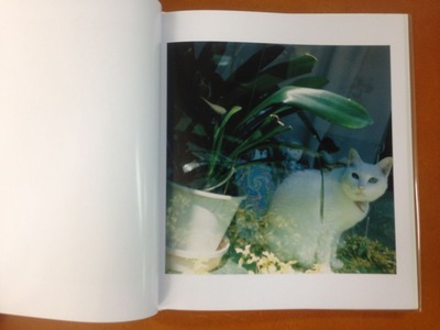 ¸¶Èþ¼ù»Ò¼Ì¿¿½¸¡Øhysteric thirteen / Hara Mikiko¡Ù3
