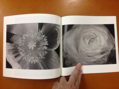 小林洋美写真集『flower's』4