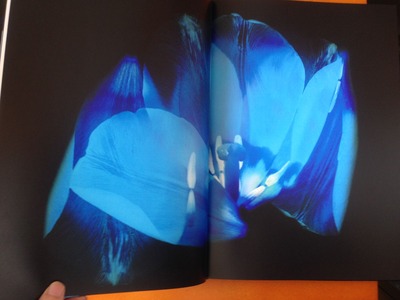 西村陽一郎写真集『青い花』3