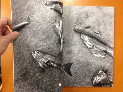 GRAF vol.12山田