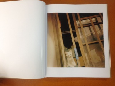 ¸¶Èþ¼ù»Ò¼Ì¿¿½¸¡Øhysteric thirteen / Hara Mikiko¡Ù1