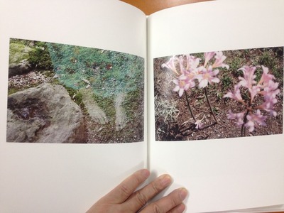 仲田絵美写真集『よすが』3