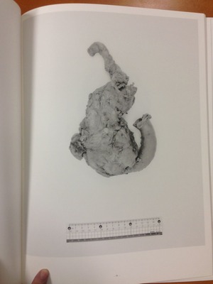 Li Zhaohui写真集『SPECIMEN』3