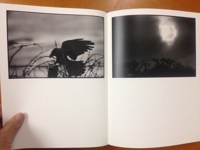 深瀬昌久写真集『MASAHISA FUKASE』4