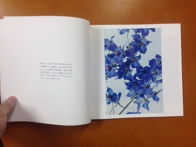 小林洋美写真集『flower's』1