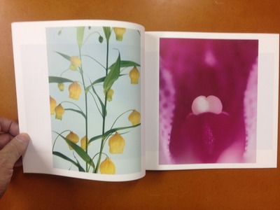 小林洋美写真集『flower's』2