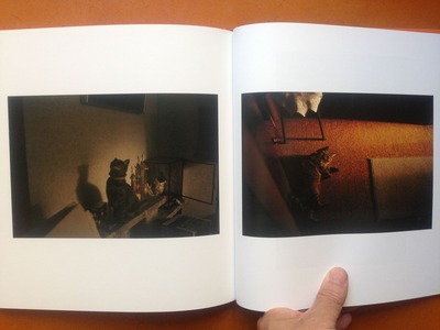 宮崎剛写真集『A Cat Catcher in The Rye』5
