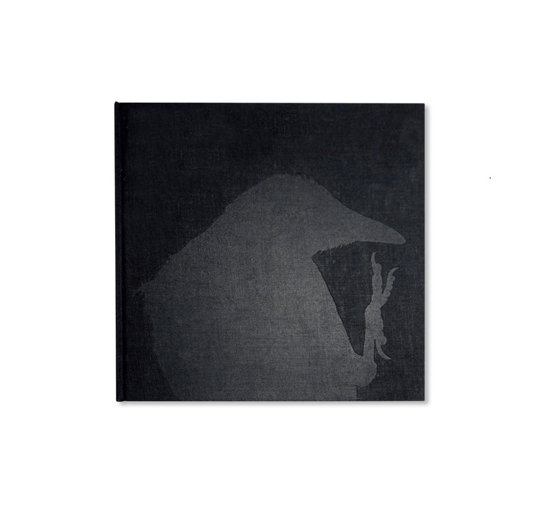 ravens_cover