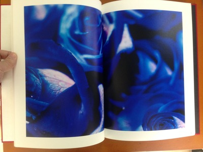 蜷川実花写真集『Self-Image』3