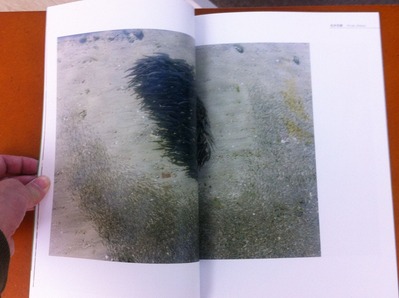 GRAF vol.01松井宏樹