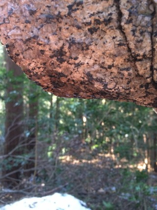 0094_large