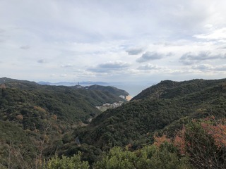 IMG_4624-1