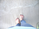 shore