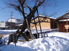 k_0219_05