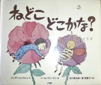 CIMG1047 (2)