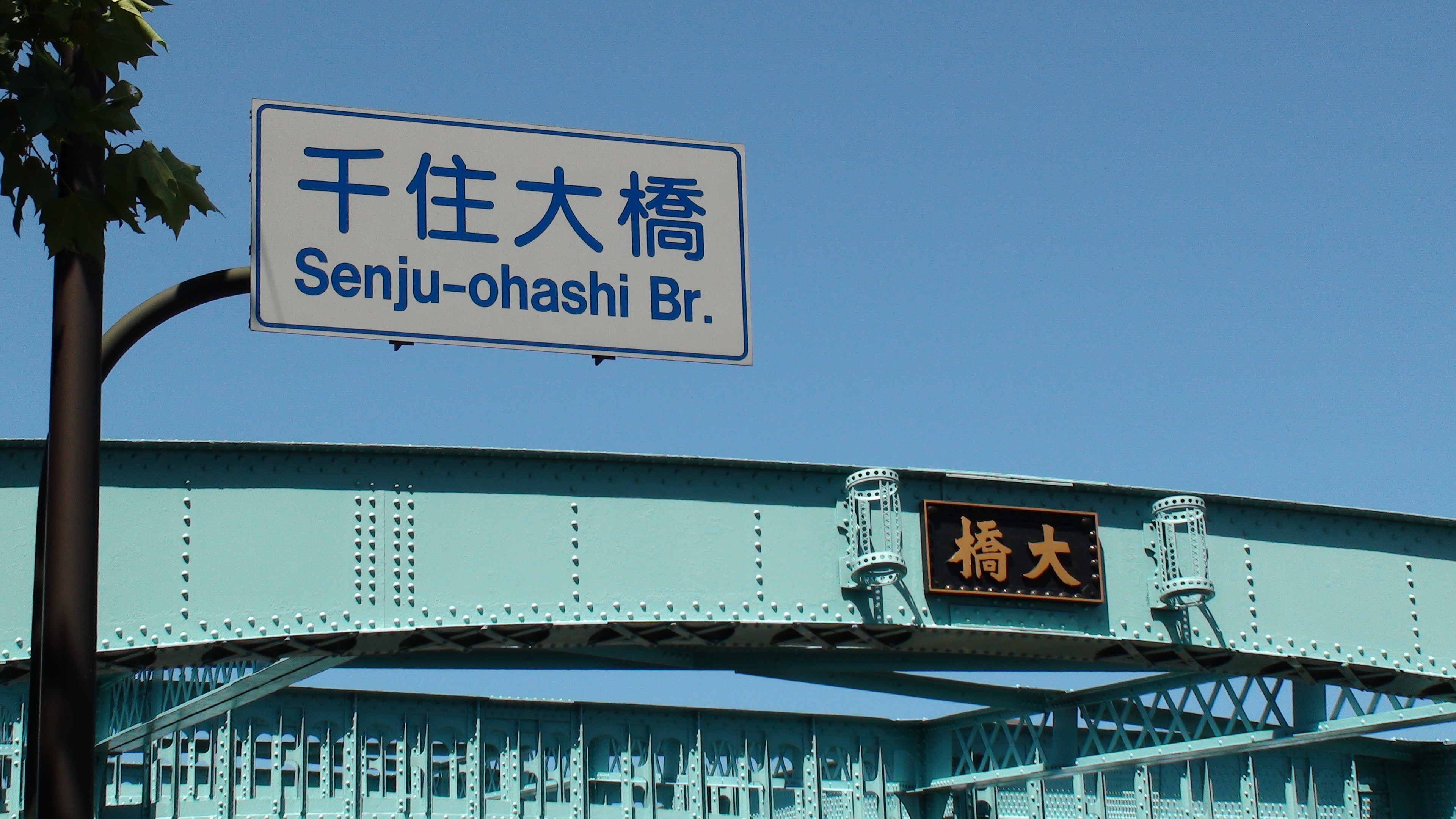 arakawaoohashi 006